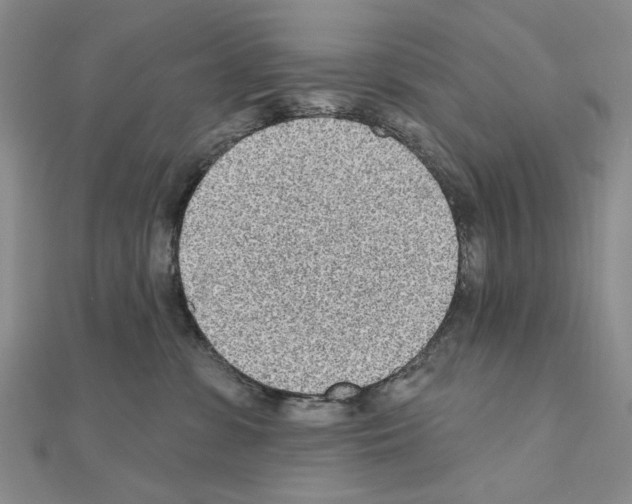 X0000110920331200907301608