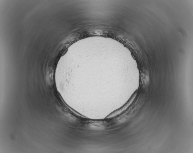 X0000110920332200907301608