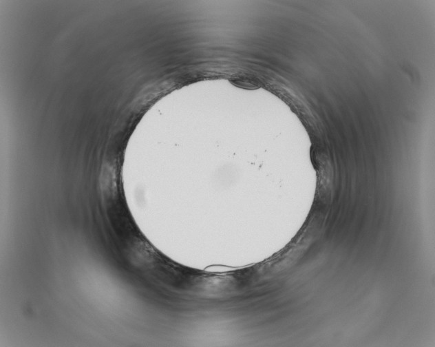 X0000110920333200907301608