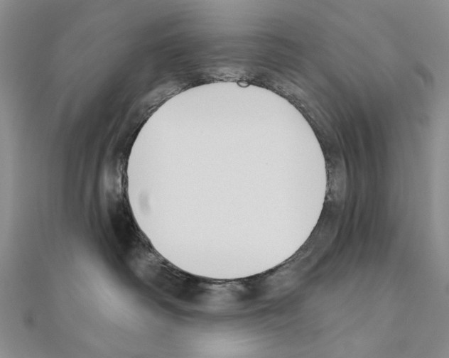 X0000110920334200907301608