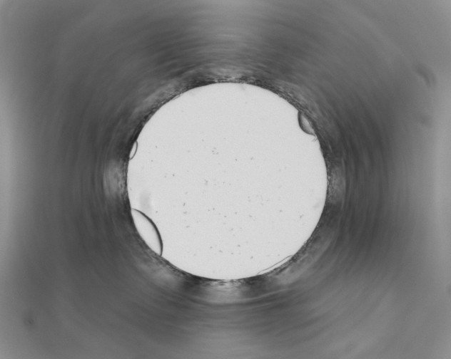 X0000110920335200907301608