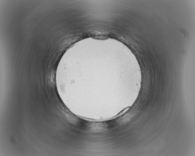 X0000110920336200907301608