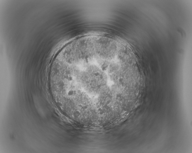 X0000110920337200907301607
