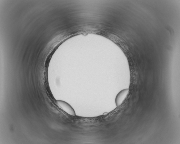 X0000110920338200907301607