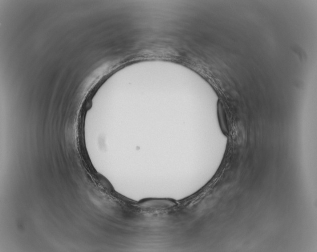 X0000110920340200907301607