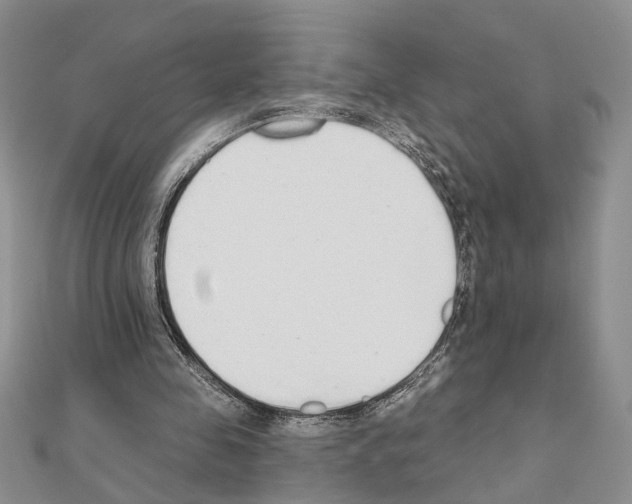 X0000110920341200907301607