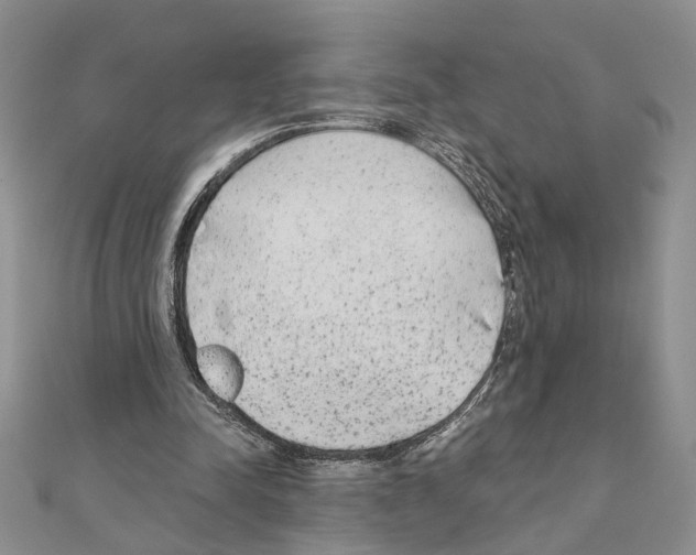 X0000110920342200907301607