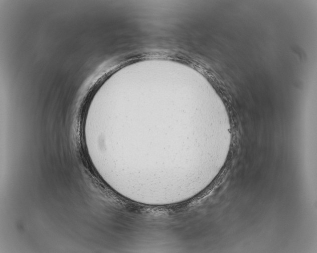 X0000110920343200907301607