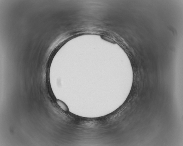 X0000110920344200907301607