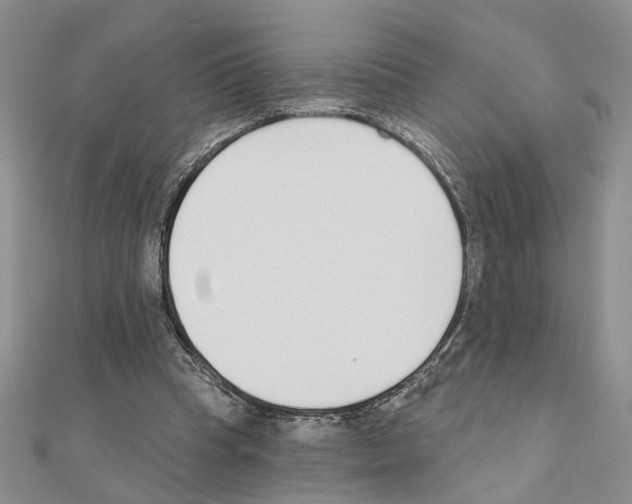 X0000110920345200907301607