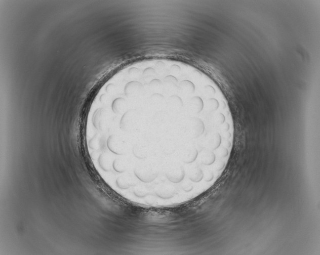 X0000110920346200907301607