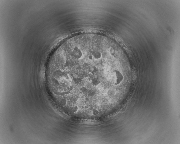 X0000110920347200907301607