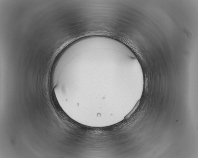 X0000110920348200907301607