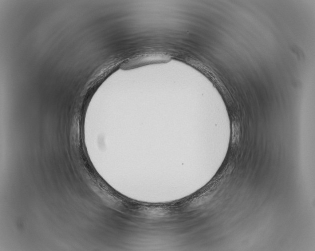 X0000110920349200907301607