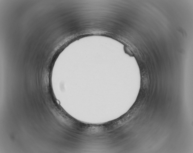 X0000110920350200907301607
