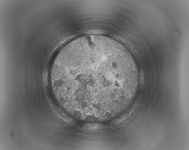 X0000110920351200907301607