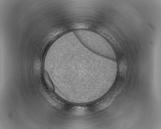 X0000110920352200907301607