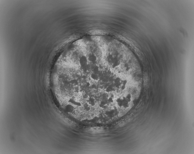 X0000110920353200907301607