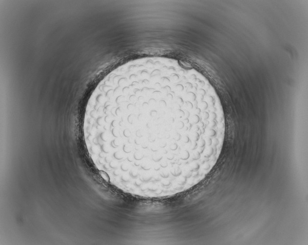 X0000110920354200907301607