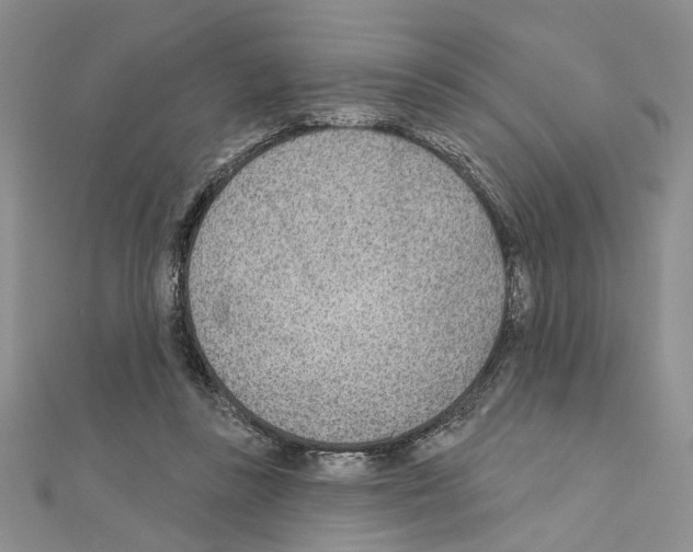 X0000110920355200907301607