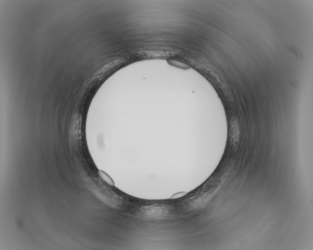X0000110920356200907301607