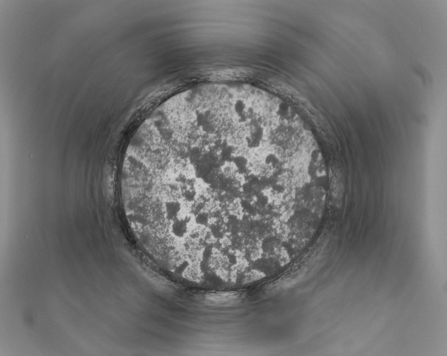 X0000110920357200907301607