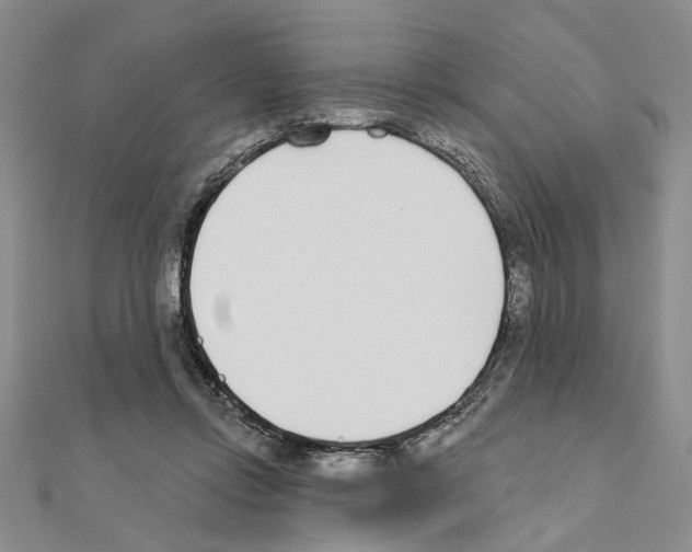 X0000110920358200907301607