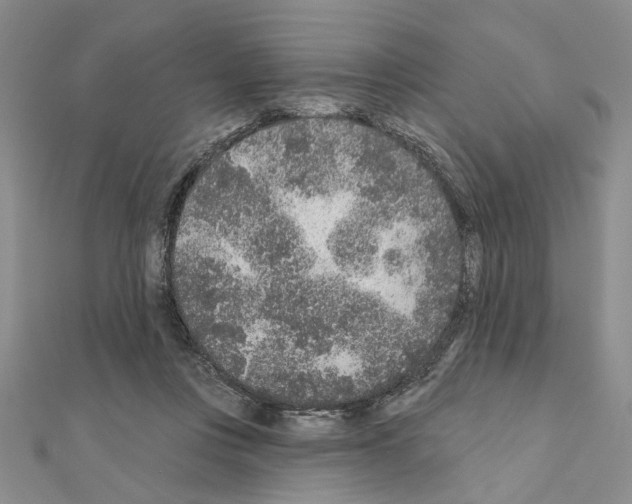 X0000110920359200907301607