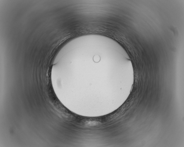 X0000110920360200907301607
