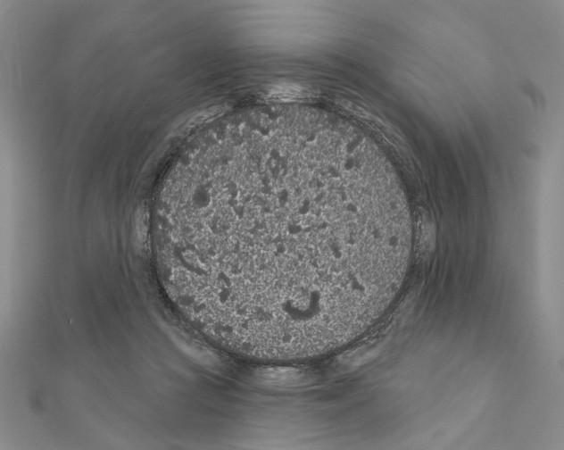 X0000110920361200907301607