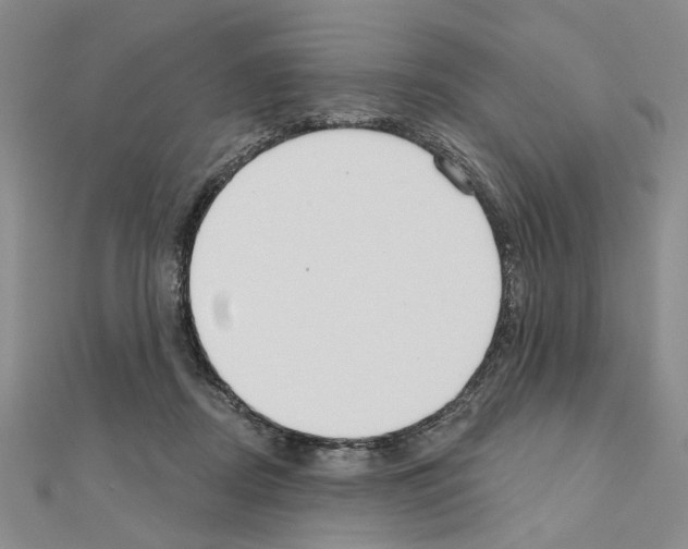 X0000110920362200907301607