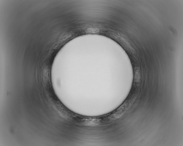 X0000110920363200907301607