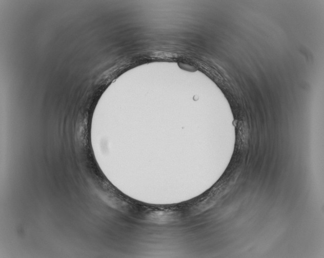 X0000110920364200907301607