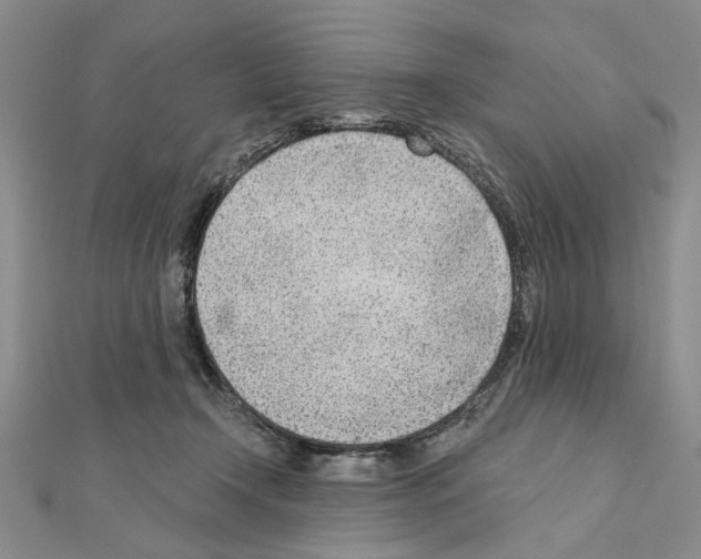 X0000110920366200907301608