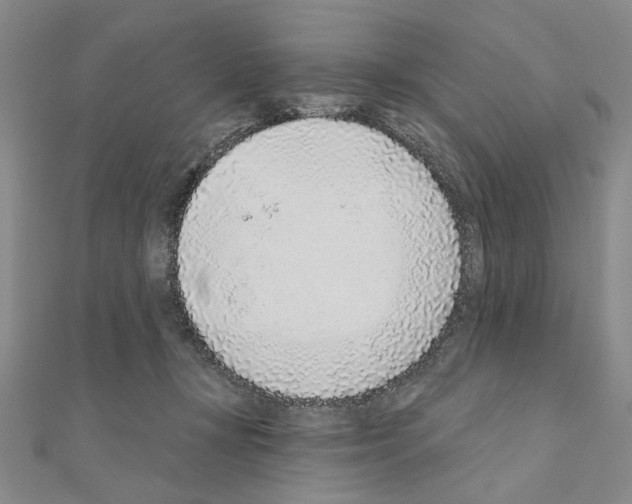 X0000110920367200907301608