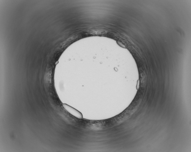 X0000110920368200907301608
