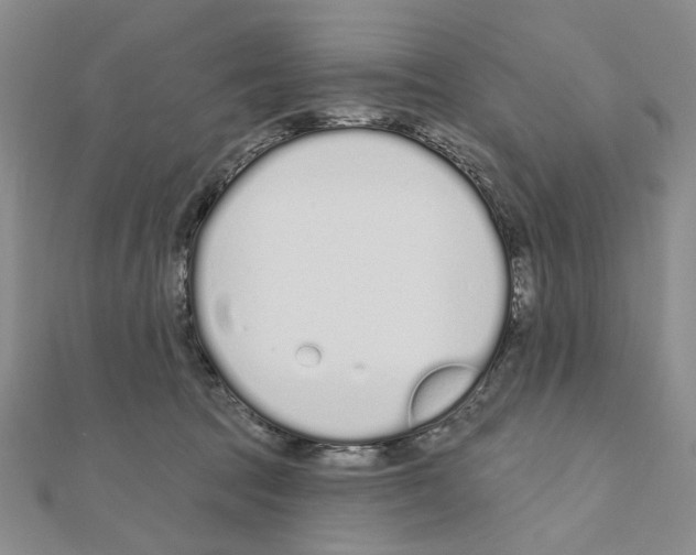 X0000110920369200907301608