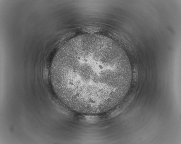 X0000110920371200907301608