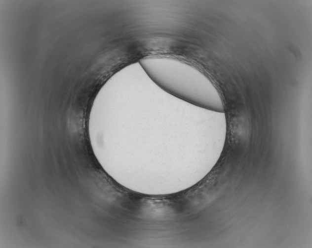 X0000110920372200907301608
