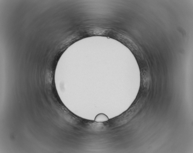 X0000110920374200907301608