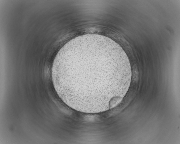 X0000110920375200907301608