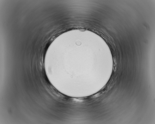 X0000110920376200907301608