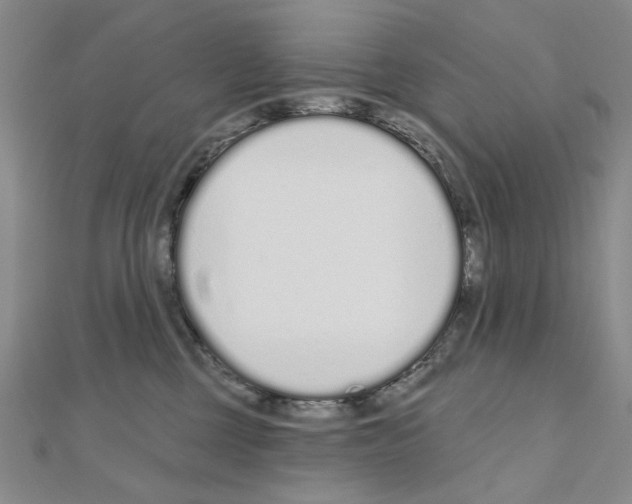 X0000110920377200907301608