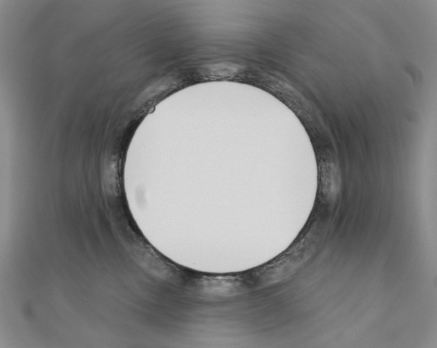X0000110920378200907301608