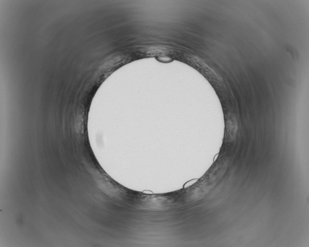 X0000110920379200907301608