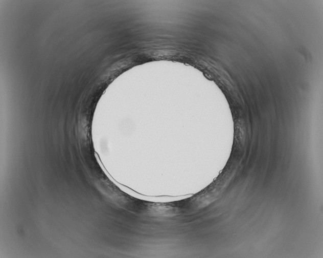 X0000110920380200907301608