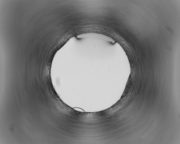 X0000110920382200907301608