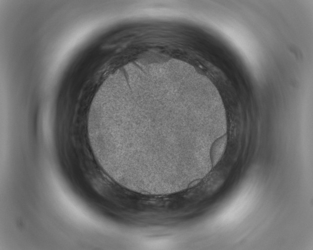 X0000110920383200907301608
