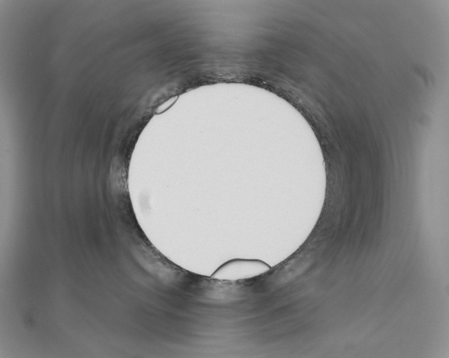 X0000110920384200907301608