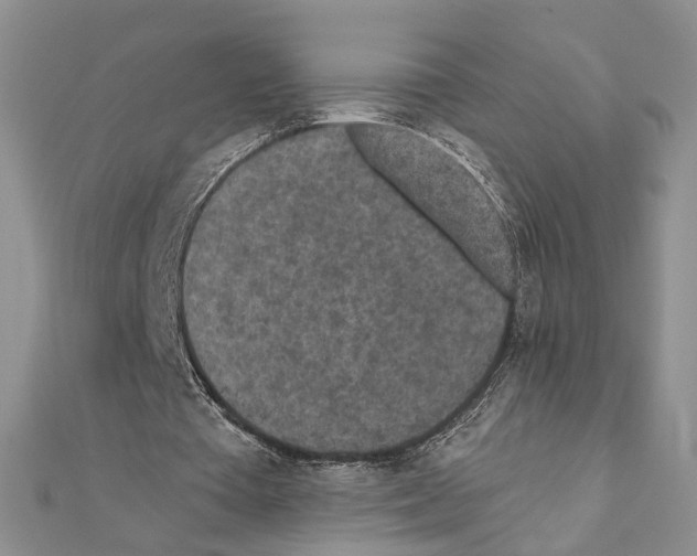 X0000110920385200907301607
